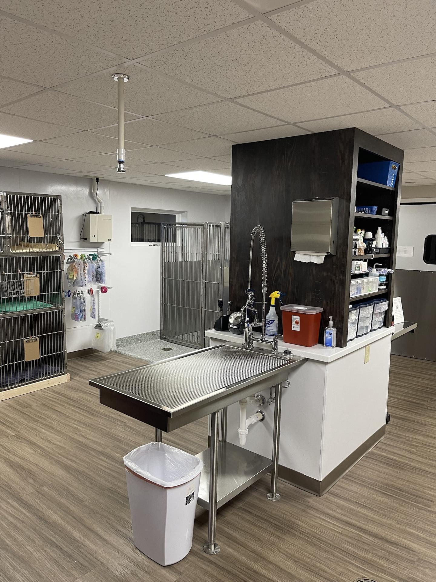 After Treatment Area