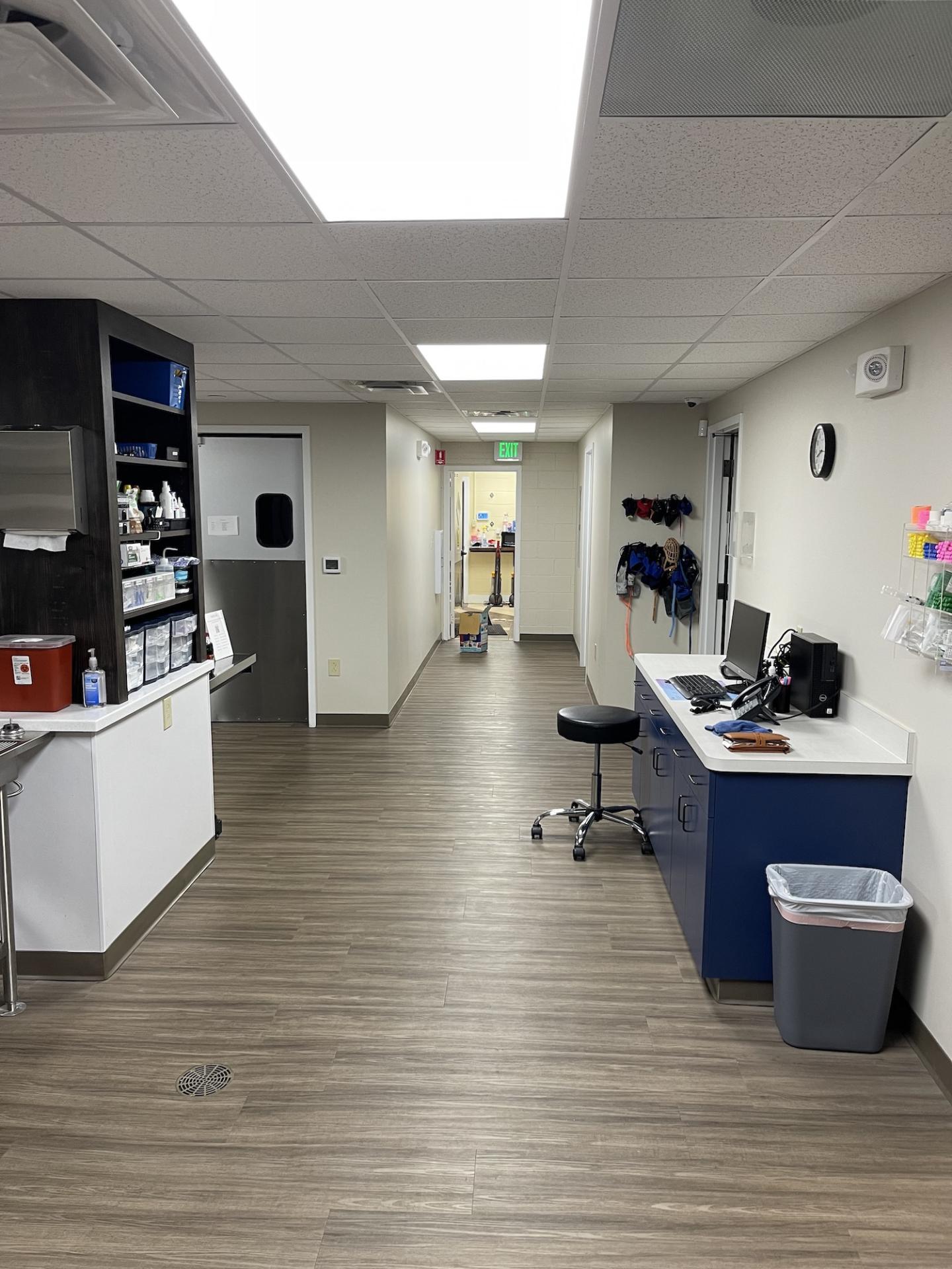 After Treatment Area