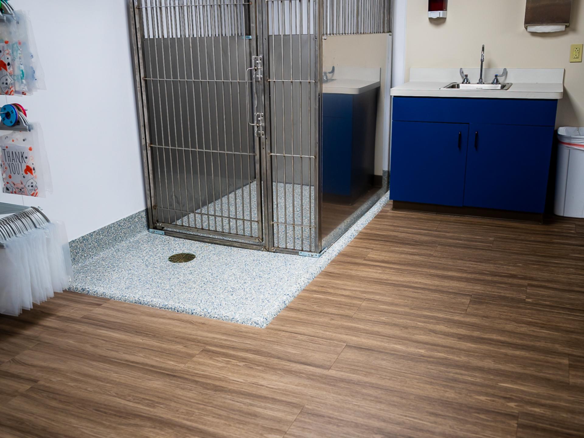 Recovery Suite